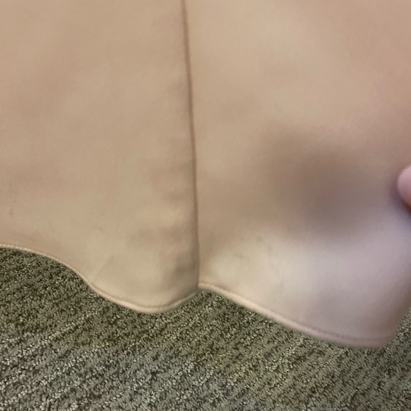 FREE SHIP ADRIANNA PAPELL Embroidered Crepe Satin Gown, Joyful Blush - Picture 8 of 10